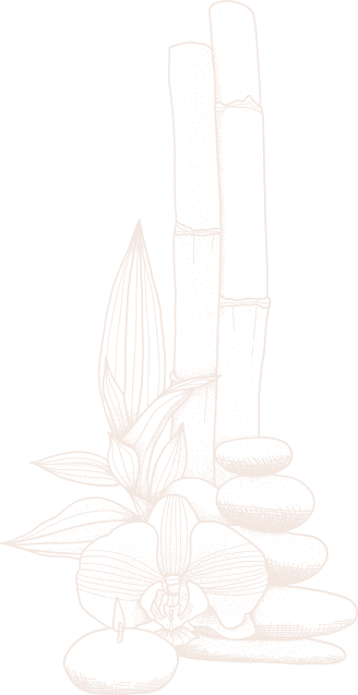 hellodreamcare-sn.com