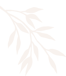 hellodreamcare-sn.com