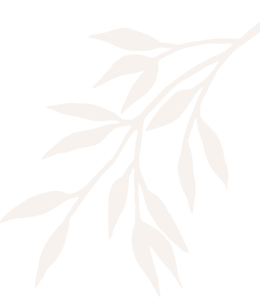 hellodreamcare-sn.com