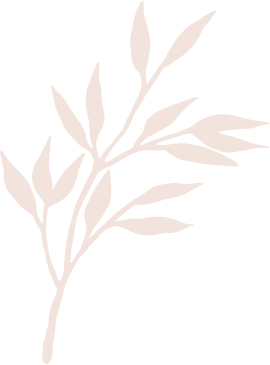 hellodreamcare-sn.com