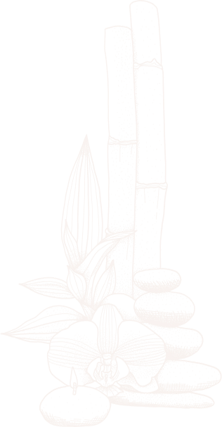 hellodreamcare-sn.com