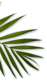 hellodreamcare-sn.com